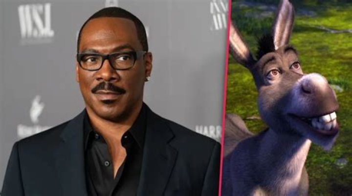 ¿Cómo se llama el burro de Shrek en español? – Celebrity