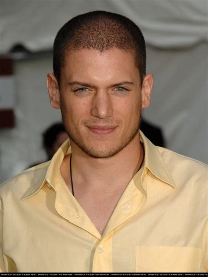 How Rich Is Wentworth Miller? – Celebrity