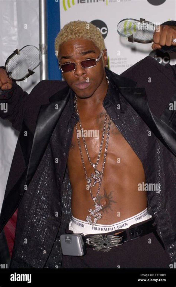 Image result for Sisqo
