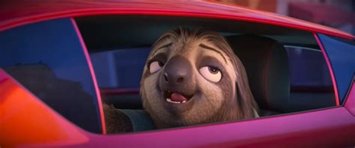 What is the girl sloths name in Zootopia? – Celebrity