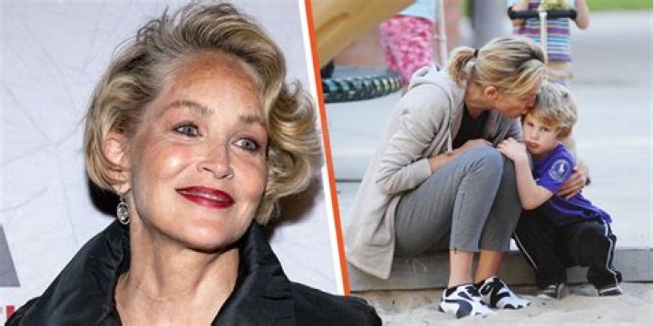 Why did Sharon Stone’s husband divorce? – Celebrity